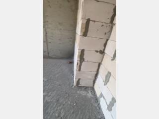 1-комн. квартира, 48.5 м², 8/15 этаж