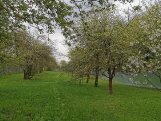 2-этажный дом, 100 м², 40 соток