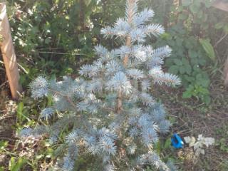 2-этажный дом, 80 м², 5 соток