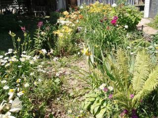  дом, 60 м², 50 соток