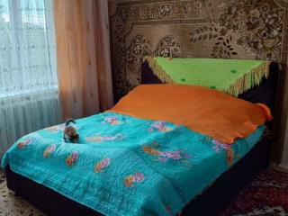 3-комн. квартира, 57.4 м², 2/3 этаж