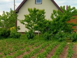 1-этажный дом, 62.2 м², 18.3 соток