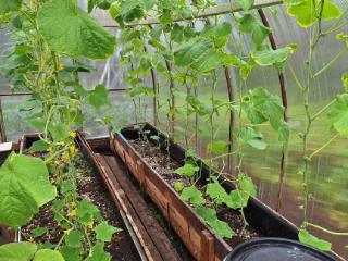  коттедж, 20 м², 5.8 соток