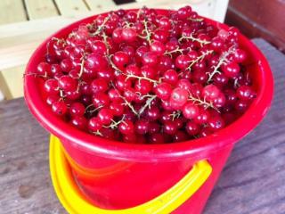  коттедж, 40 м², 6 соток