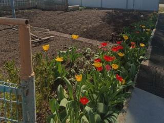  дом, 39.7 м², 4.5 сотки