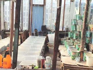  дом, 49 м², 6 соток