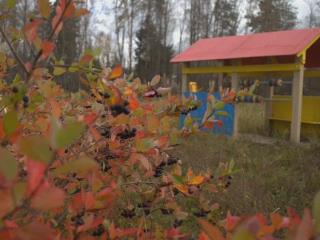  дом, 20 м², 25 соток