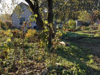  коттедж, 20 м², 11.8 соток