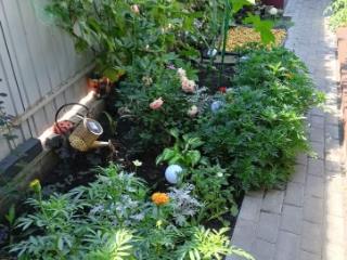 1-этажный дом, 72.9 м², 3.5 сотки