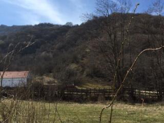  дом, 100 м², 17 соток