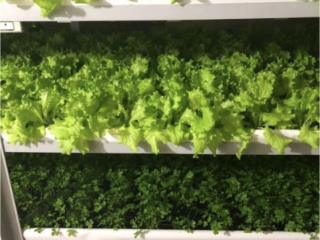 2-этажный дом, 229.8 м², 6.6 соток