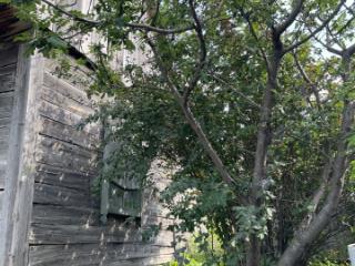 1-этажный дом, 30 м², 8 соток