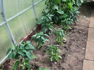 2-этажный дом, 70 м², 15 соток