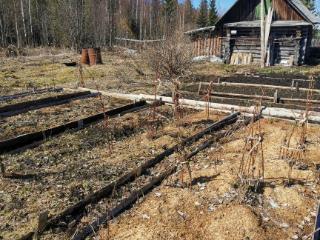 Купить землю, 5.2 соток