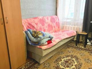 1-комн. квартира, 21.5 м², 4/5 этаж