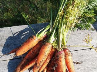  коттедж, 15.5 м², 10 соток