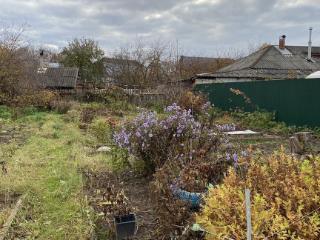  дом, 45 м², 8 соток