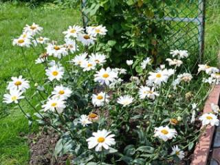 2-этажный дом, 65 м², 4.09 сотки