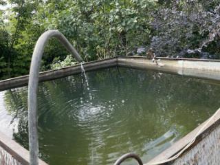 1-этажный дом, 30 м², 8 соток