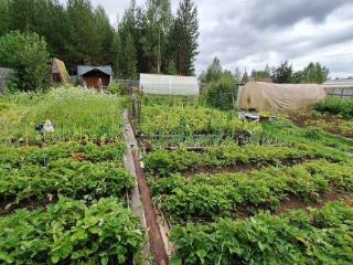  коттедж, 20 м², 5.8 соток