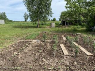 1-этажный дом, 25.3 м², 37 соток