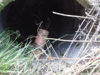  дом, 61.3 м², 49.3 соток