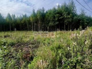 Продажа участка, 11 соток