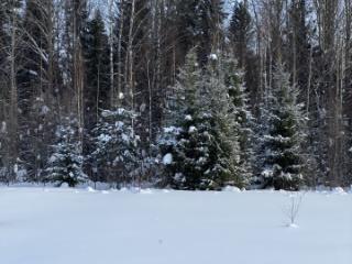 1-этажный дом, 25.3 м², 37 соток