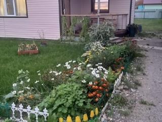 1-этажный дом, 60 м², 18 соток