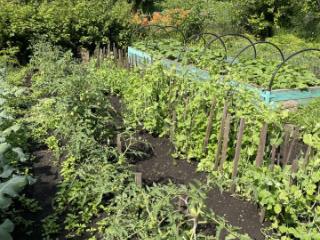 1-этажный дом, 30 м², 8 соток