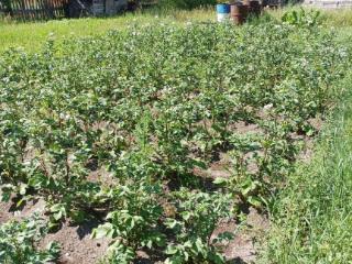  коттедж, 15.5 м², 10 соток