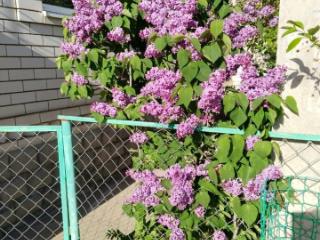 2-этажный дом, 253 м², 6 соток