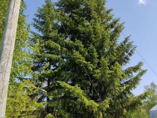 Продажа земли, 6 соток