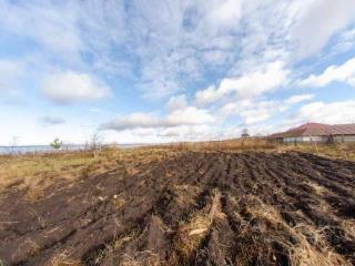 1-этажный дом, 50 м², 16 соток