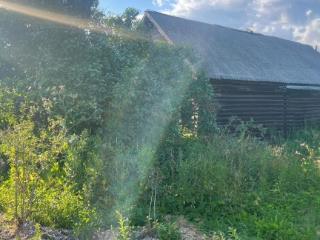  дом, 65 м², 50 соток