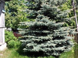  дом, 130 м², 6 соток