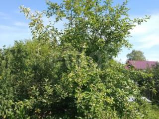 1-этажный дом, 63.8 м², 5.92 соток