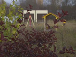  дом, 20 м², 25 соток