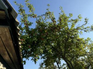 2-этажный дом, 70 м², 7 соток