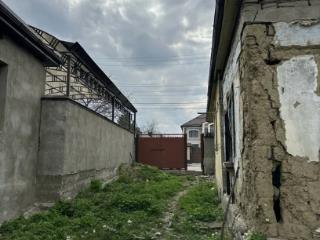 3 сотки