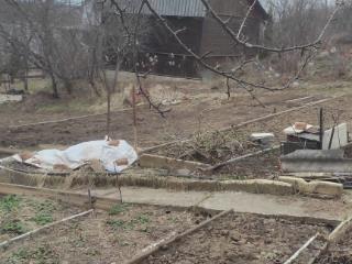  коттедж, 25 м², 4 сотки