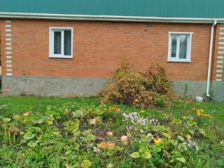  дом, 99 м², 39 соток