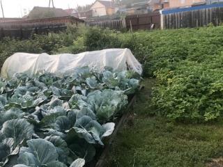  дом, 120 м², 25 соток