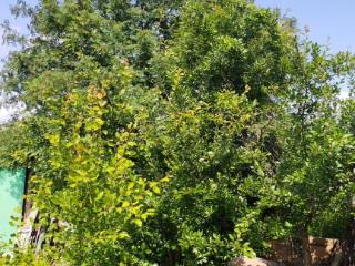  дом, 12 м², 6 соток