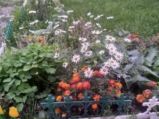 1-этажный дом, 60 м², 18 соток