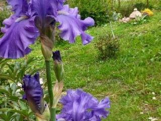 1-этажный дом, 56.4 м², 8.5 соток