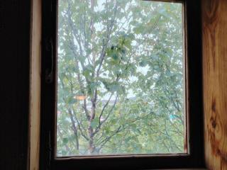  дом, 49 м², 15 соток