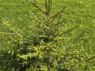 2-этажный дом, 144 м², 7.5 соток