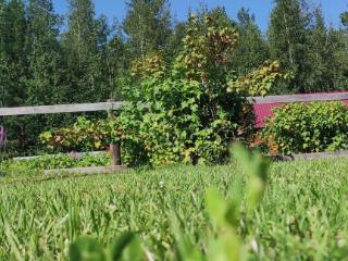  коттедж, 35 м², 10 соток