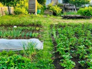 1-этажный дом, 89.9 м², 8.6 соток